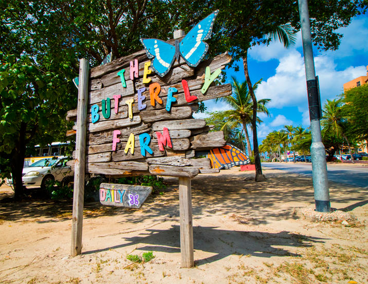 Other places to visit with kids and family in Aruba